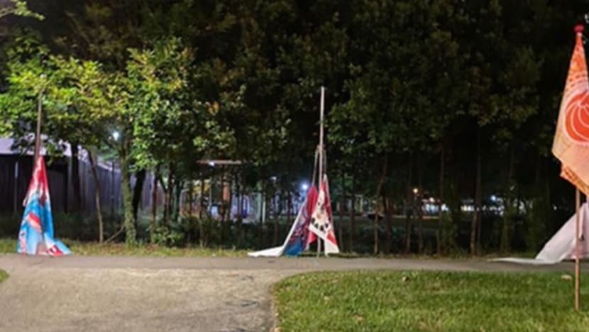 Man, 24, charged with damaging National Day decorative banners in Punggol