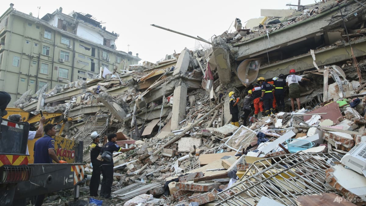 Red Cross seeks more than US$100 million for Myanmar quake
