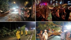 Related article image
