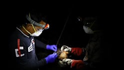 Related article image