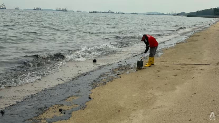 Pembersihan tumpahan minyak di Taman East Coast selesai, kesemua pantai dibuka semula