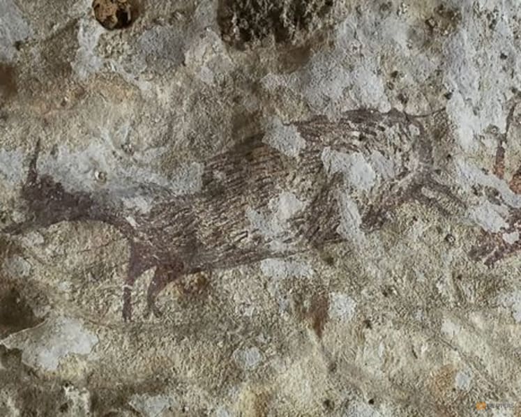 The world's oldest cave paintings in Indonesia under threat of wildfires