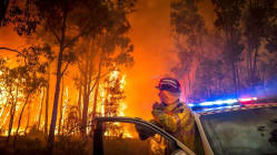 Related article image