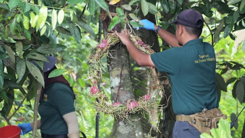 Related article image