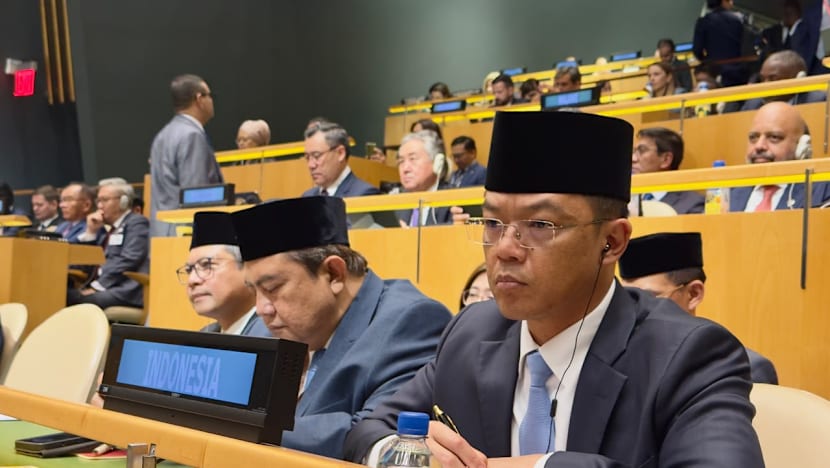 Indonesia galang dukungan untuk kembali jadi anggota Dewan Keamanan PBB 2029-2030