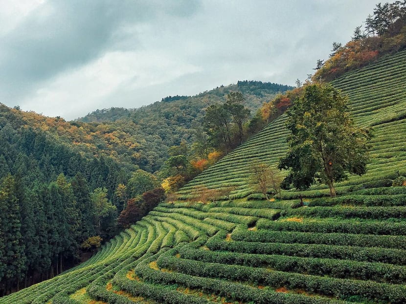 We Visited Korea's Farming Region And It's More Happening Than We Imagined