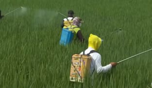 பருவநிலை மாற்றத்தின் சவால்களை எதிர்கொள்ள ஆசியாவில் புதிய கூட்டணி