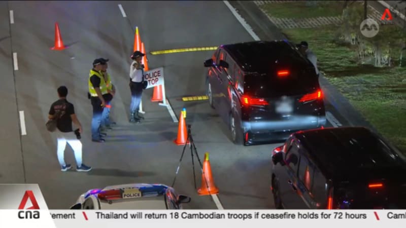 546 arrested, 1,771 under investigation in Singapore for various offences over past month