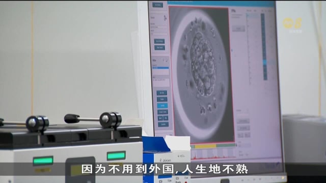 本地冻卵年龄上限调高 生育中心：更多女性提出咨询