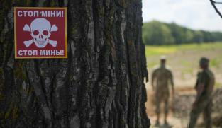 Which countries are quitting a key landmine treaty and why?