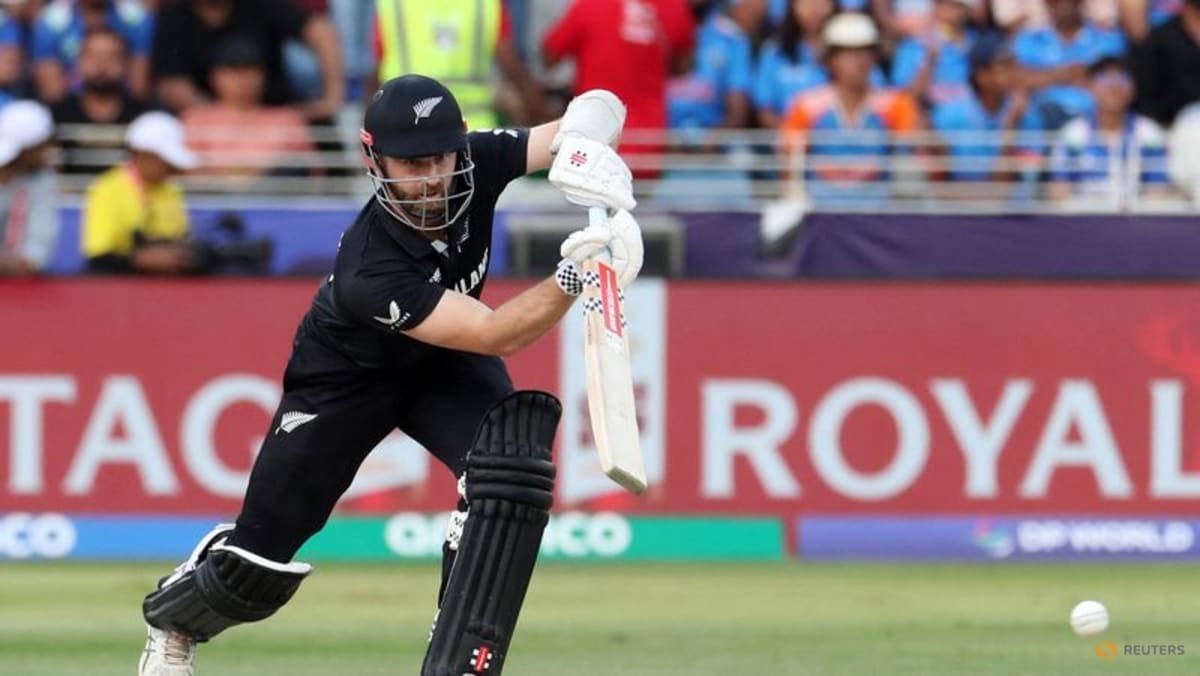 New Zealand's Williamson launches line of boxes after low blow from Steyn