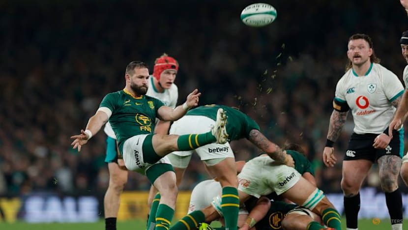 South Africa overpower ill-disciplined Ireland 24-13