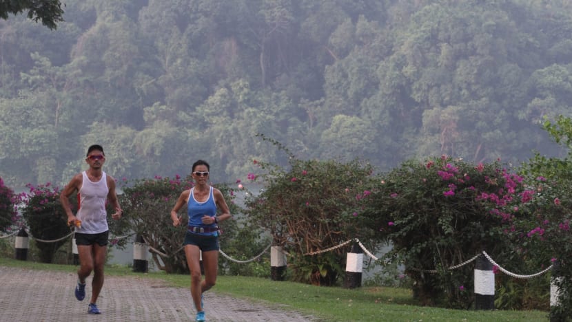 ‘Low’ odds of haze in Singapore over next few days: NEA