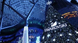 Related article image