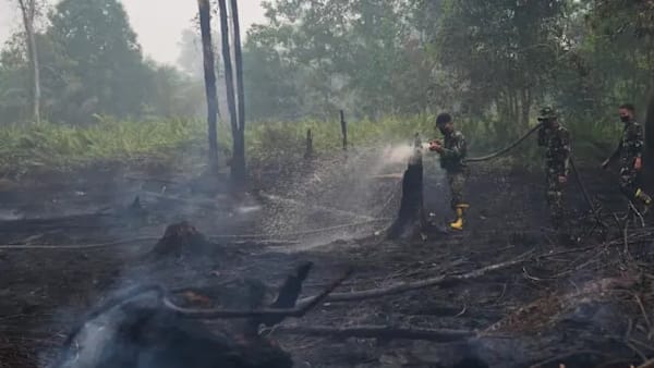 JEREBU RENTAS SEMPADAN: Haiwan liar, kawasan berpaya sukarkan usaha padam kebakaran hutan di Indonesia