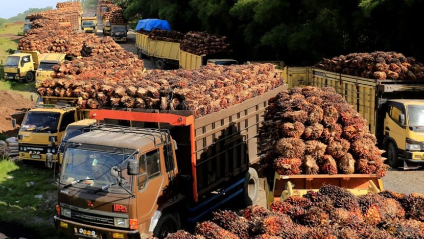 Indonesia's conducting studies to implement 50% biodiesel blend in 2026 Indonesia's conducting studies to implement 50% biodiesel blend in 2026