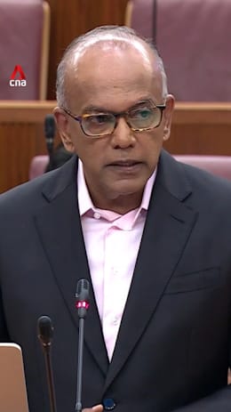 Shanmugam to opposition parties: Speak out against foreign interference immediately