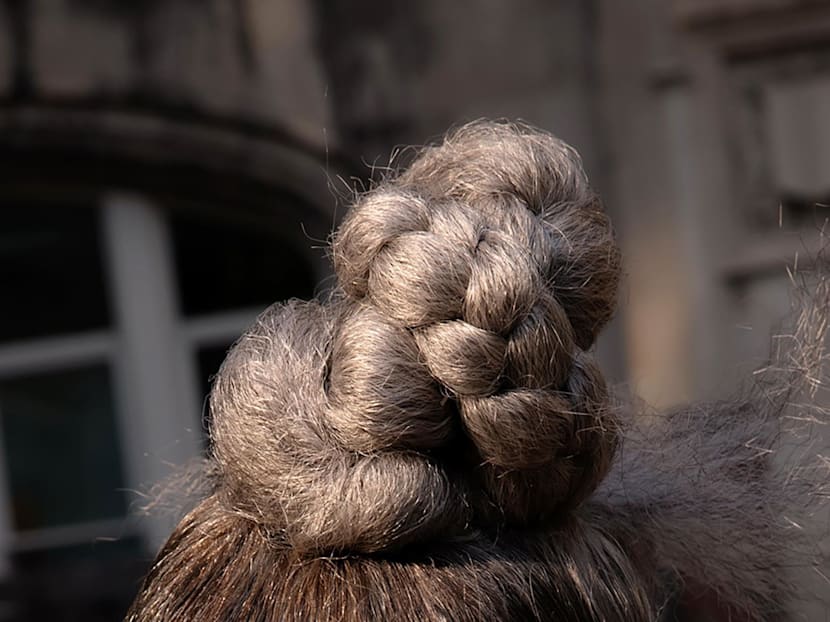 Can you prevent or reverse grey hair? Here's what scientists have untangled so far