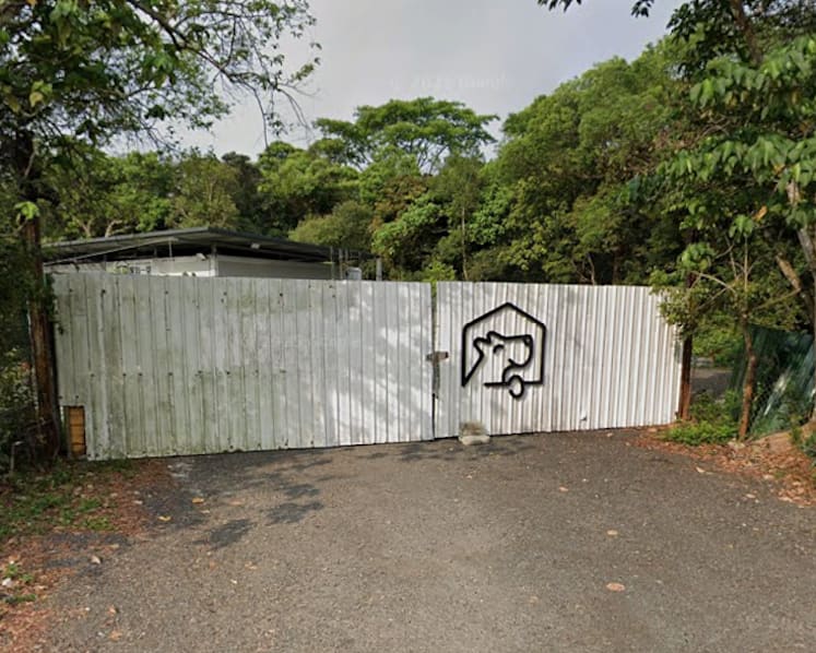 Woman in Hong Kong mauled to death by dog in pet hotel