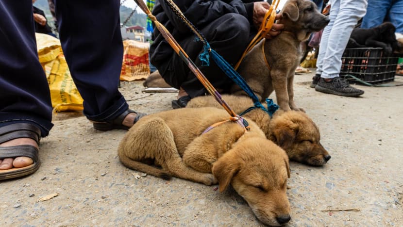 Paksa napi Muslim makan anjing, Kalapas Enemawira di Kepulauan Sangihe dicopot