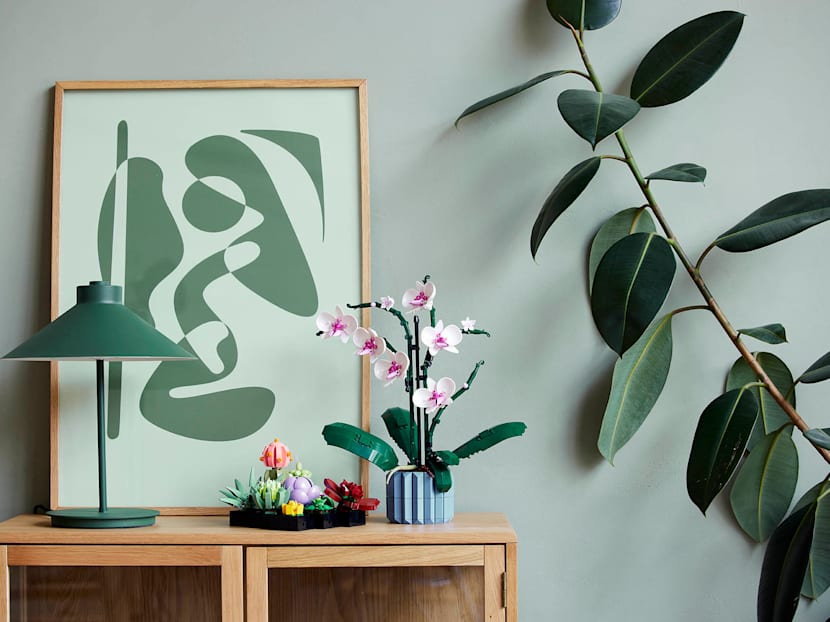 These Lego Plants Are The Perfect Addition To Your Home If You&rsquo;ve Been Killing All Your (Real) Plants 