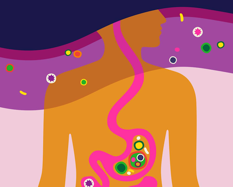 Feeling foggy and tired? Your gut health may be affecting your brain