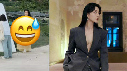 fan-bingbing-catfish