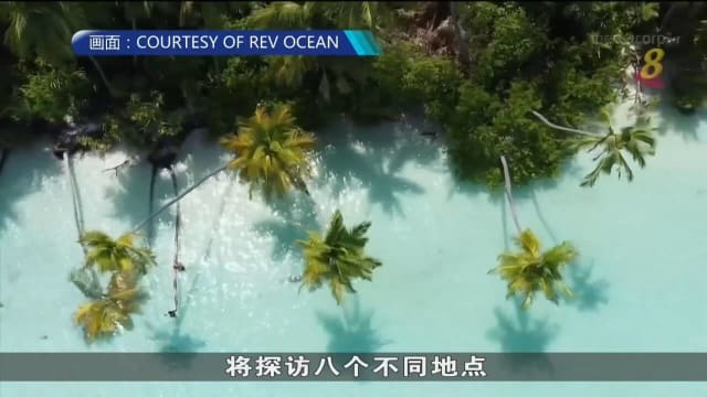 Nekton海洋研究基金会在马尔代夫展开科研工作