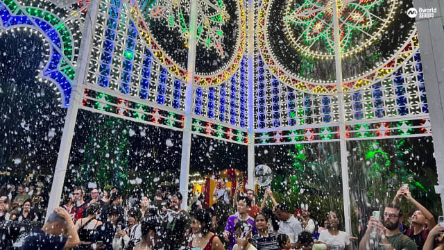 每周精选：圣诞仙境开幕 滨海湾花园 “飘雪”啦