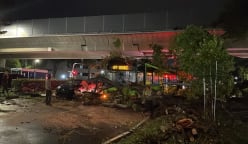 CNA Explains: Are falling trees a problem and what can be done about them?