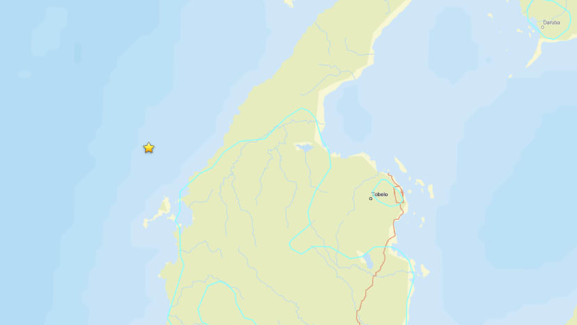 Magnitude 6.2 earthquake strikes off eastern Indonesia: USGS