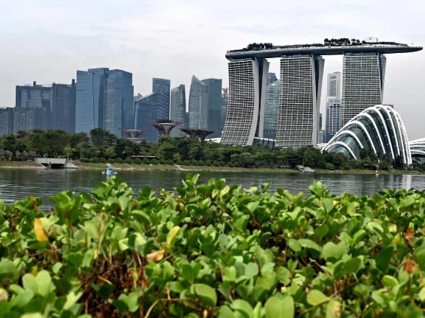 Commentary: The merits of Singapore’s new carbon trading marketplace