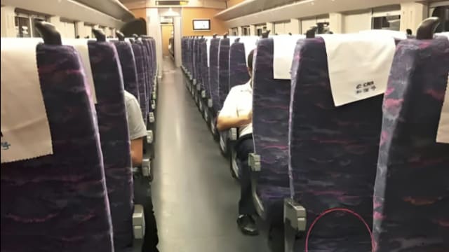 乘客称穿短裤搭高铁染真菌 官方：180天换洗一次
