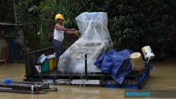 Related article image