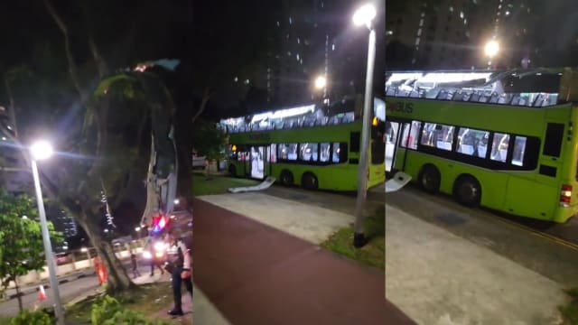 双层巴士撞树车顶侧面“被削” 居民：场面令人震惊