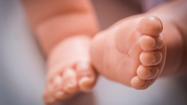 日女肢解弃婴遗体　被判两年监禁缓刑三年