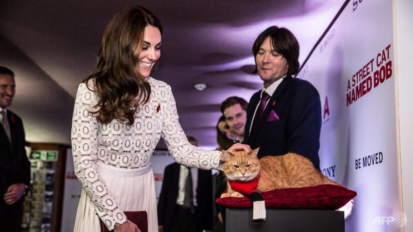 Kitty that inspired A Street Cat Named Bob book and film dies at age 14