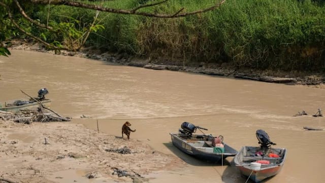 柔佛河水污染事件后 受影响地区供水逐步恢复