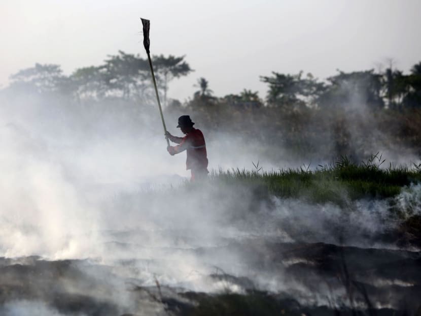A fireman battles a peatland fire on a field in Simpang Pelabuhan Dalam, South Sumatra, Indonesia, Tuesday, July 28, 2015. Photo: AP A fireman battles a peatland fire on a field in Simpang Pelabuhan Dalam, South Sumatra, Indonesia, Tuesday, July 28, 2015. Photo: AP