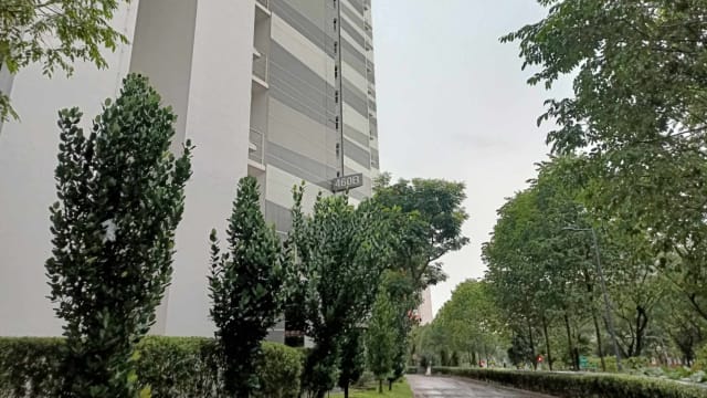 母亲遇害他受伤 五岁童回家本是为回归原生家庭做准备 