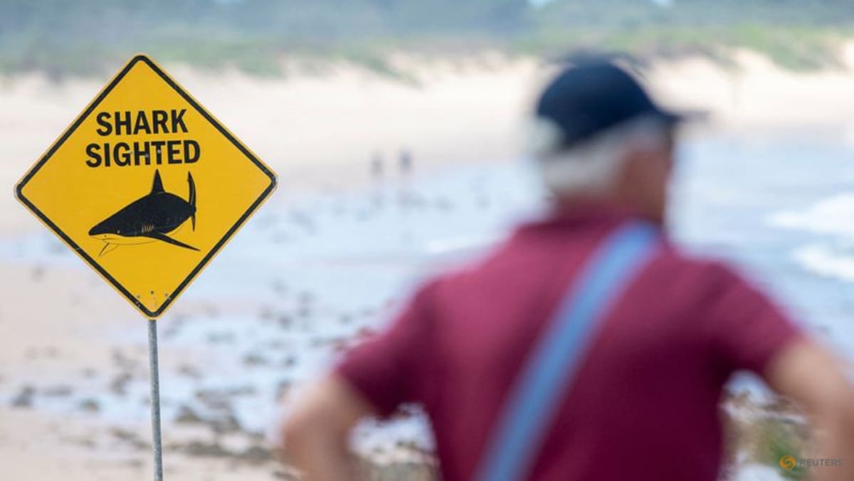 Australian boy dies after shark attack in Sydney Harbour