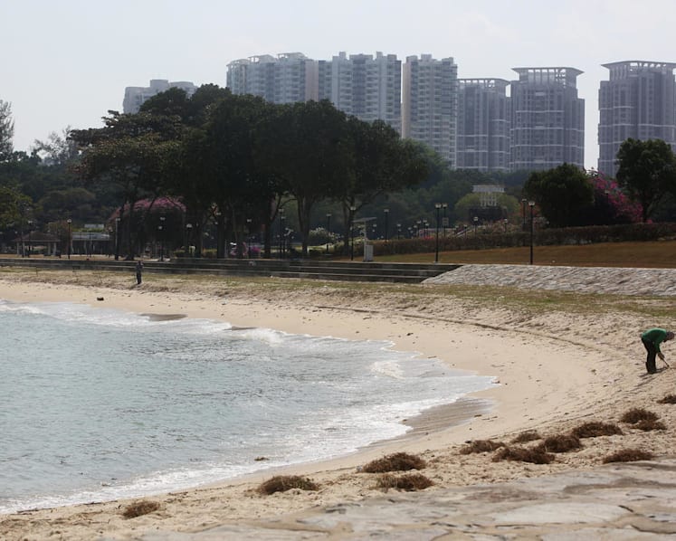 PUB to start studying ways to protect City-East Coast and Jurong Island coastlines