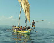 Indonesia’s centuries-old whaling tradition faces an uncertain future