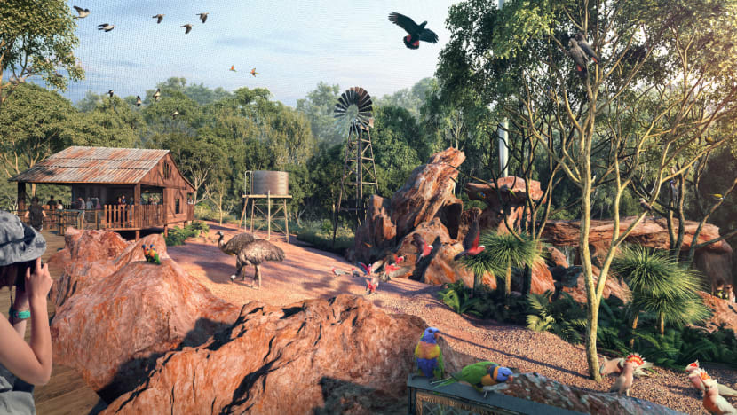 More than 3,000 birds to be moved from Jurong park to Bird Paradise in Mandai