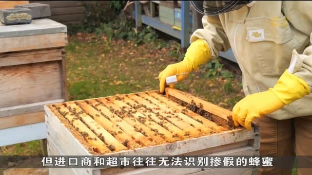 英国科研人员研发新方案 盼更有效辨别蜂蜜真假