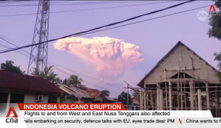 Dozens of Bali flights cancelled after Indonesia's Mount Lewotobi Laki-laki erupts