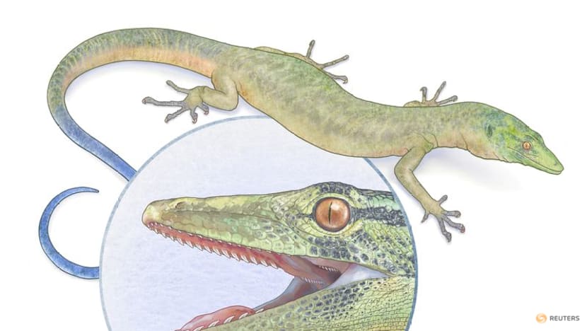 Enigmatic Jurassic reptile looks like a mix of snake and lizard