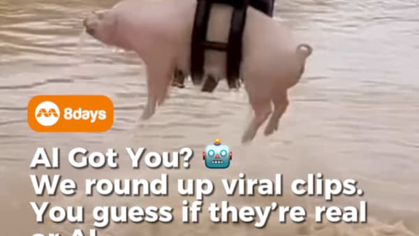AI is getting harder to spot than ever. From pigs rescued