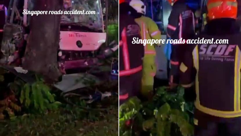 54-year-old SBS Transit driver dies after crashing empty bus into tree near Hougang bus depot