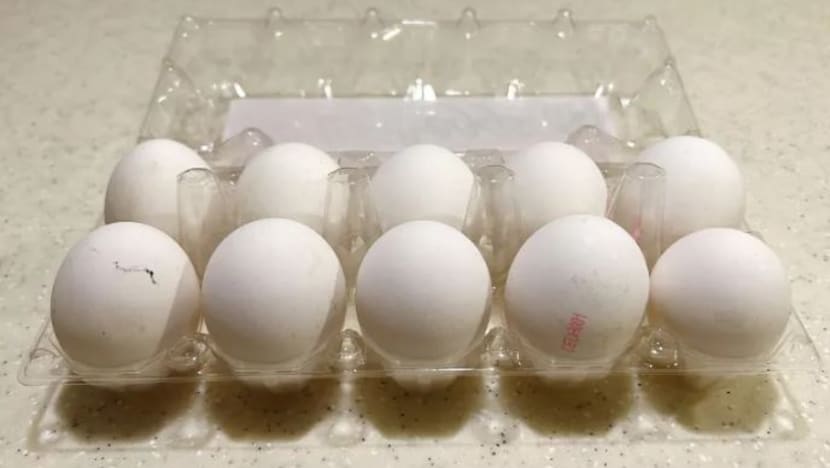 SG tarik balik telur import dari Ukraine dicemari Salmonela Enteriditis
